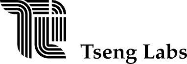 Logo for TSENGLABS INTERNATIONAL CO LTD