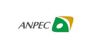 Logo for ANPEC ELECTRONICS CORP