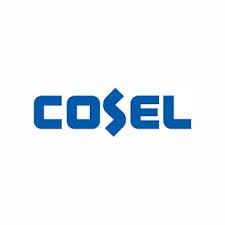 Logo for COSEL USA INC