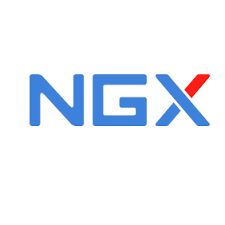 Logo for NGX TECHNOLOGIES