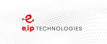 Logo for SERIOUS INTEGRATED INC