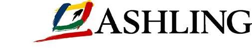 Logo for ASHLING MICROSYSTEMS