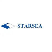 Logo for CHANGZHOU STARSEA ELECTRONICS CO LTD
