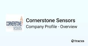 Logo for CORNERSTONE SENSORS INC