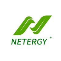 Logo for NETERGY MICROELECTRONICS