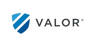 Logo for VALOR ELECTRONICS INC