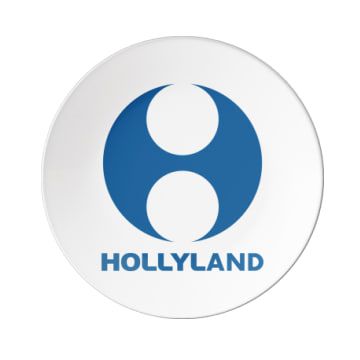 Logo for HOLLYLAND (CHINA) ELECTRONICS TECHNOLOGY CORP LTD