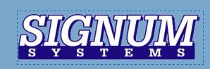 Logo for SIGNUM SYSTEMS