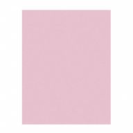 3MIC 3M261X SHEET 8.5X11"