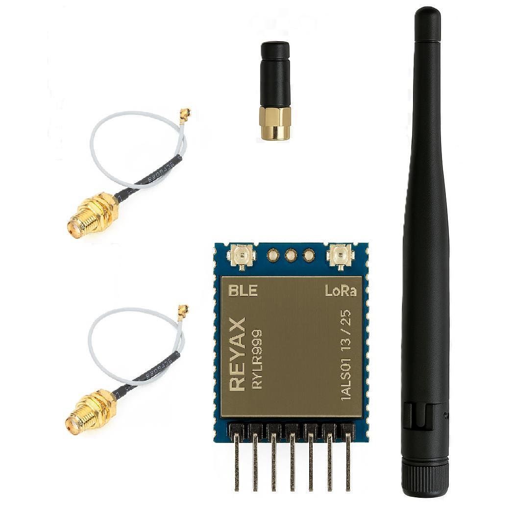 RYLR999 30dBm LoRa &20dBm 2.4GHz BLE EVK