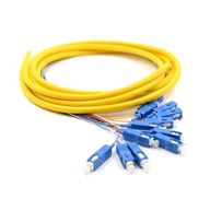 P2P-PT12FR-OS2-SCUPC-3M