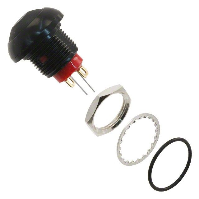 RP8300B2M1CEBLKBLKRGRN